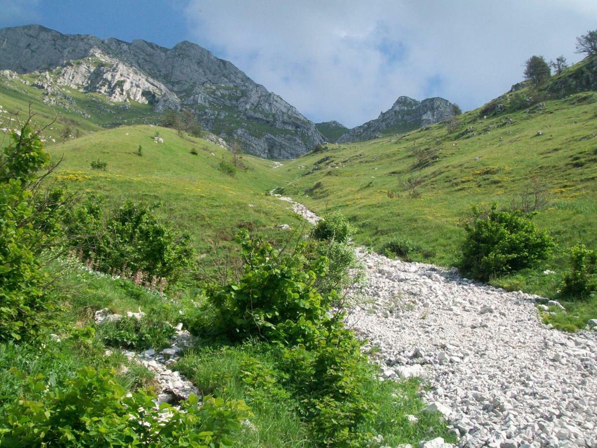 B&B In Fattoria Frisanco Zewnętrze zdjęcie