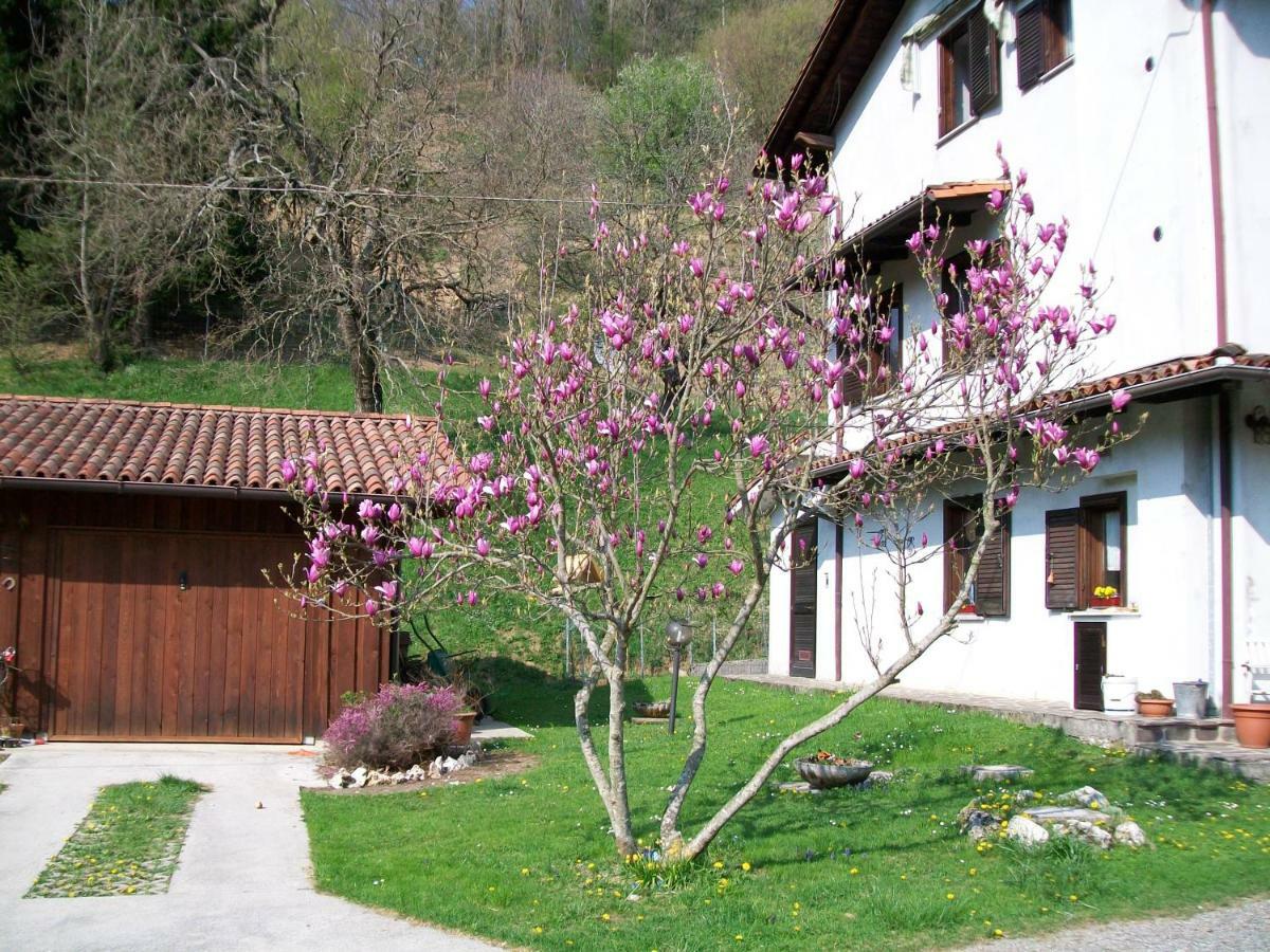 B&B In Fattoria Frisanco Zewnętrze zdjęcie