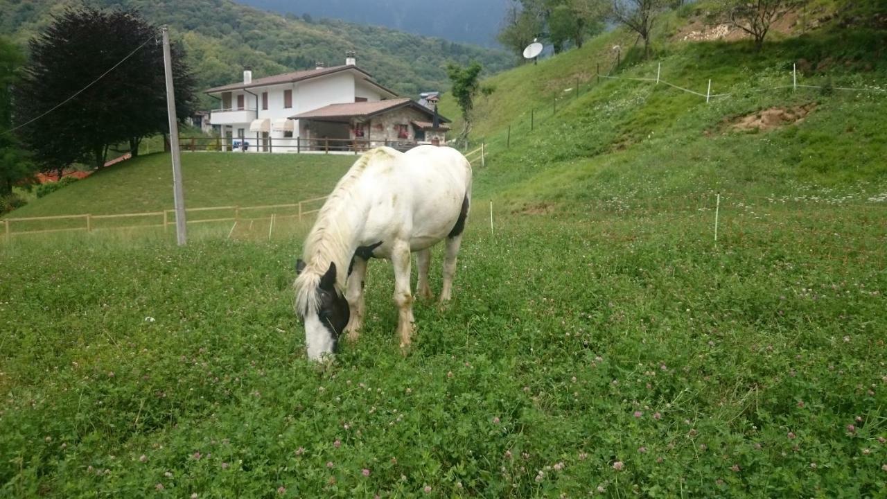 B&B In Fattoria Frisanco Zewnętrze zdjęcie