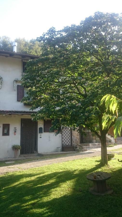 B&B In Fattoria Frisanco Zewnętrze zdjęcie
